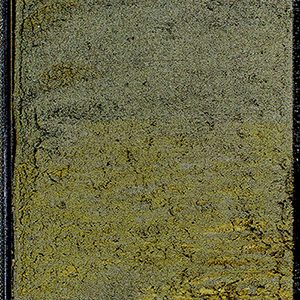 The sediment cores hold a record of past low-oxygen events in the form of layered, or 'laminated' sediments known as dead zones.