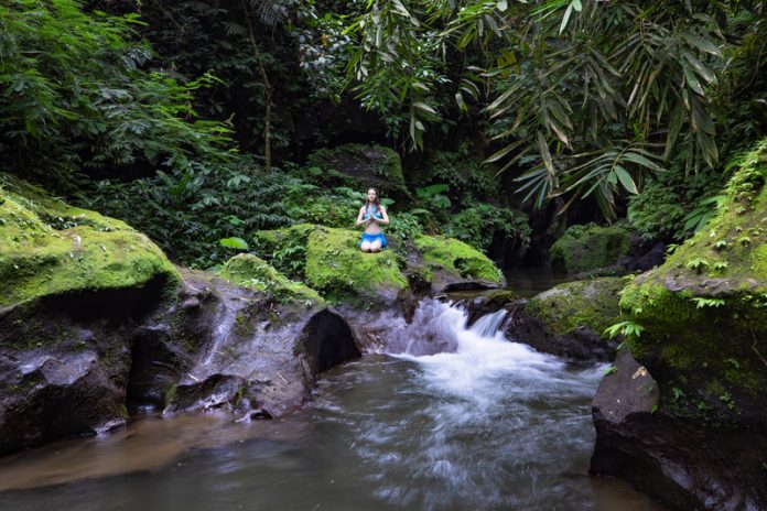 As forest bathing helps reduce the overall level of stress, it enhances your emotional wellbeing.