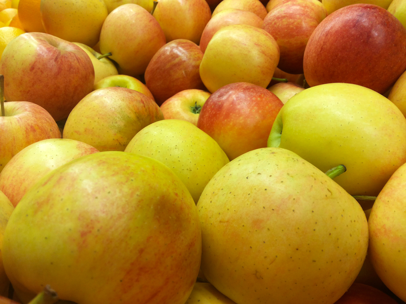 Appalachian Apple Hunter Tom Brown Rescues 1,000 'Lost' Apple Varieties