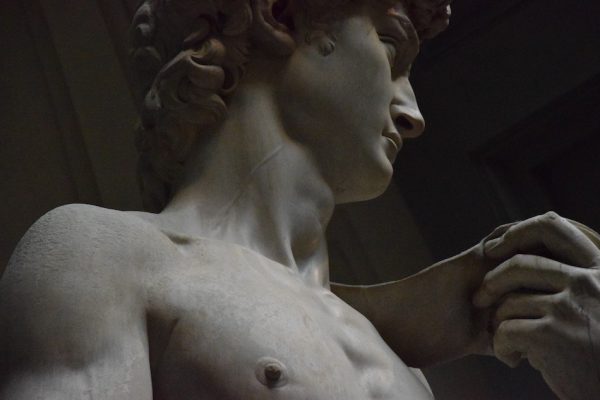 detail of Michelangelos scultpure David close up of face and shoulder and chest and hand
