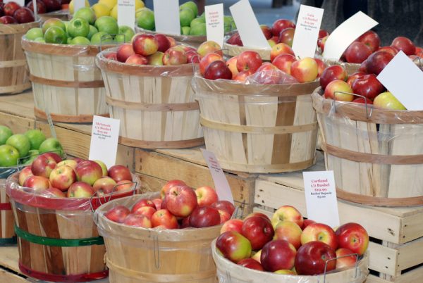 It was in 1998 that Brown stumbled upon some rare heritage apple varieties at a farmer’s market. He tasted the Arkansas Black apple, along with breeds like Grimes Golden, Rusty Coats, and Twenty Ounce.