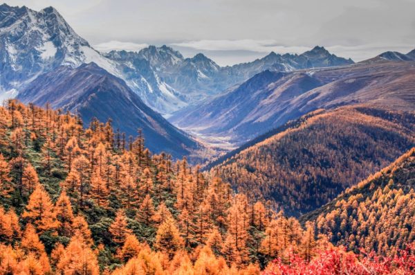 Baimang (White horse) Snow Mountain in autumn, Shangri-La, Yunnan Province, China.