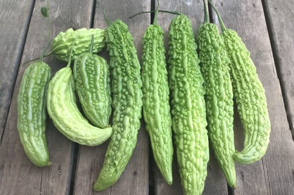 Beyond standard fruits and vegetables, intentionally incorporating bitter-tasting foods into your culinary routine provides remarkable physiological advantages during peak summer heat.