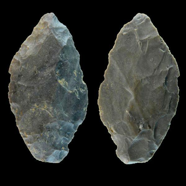 Leaf points used in Neanderthal hunting.