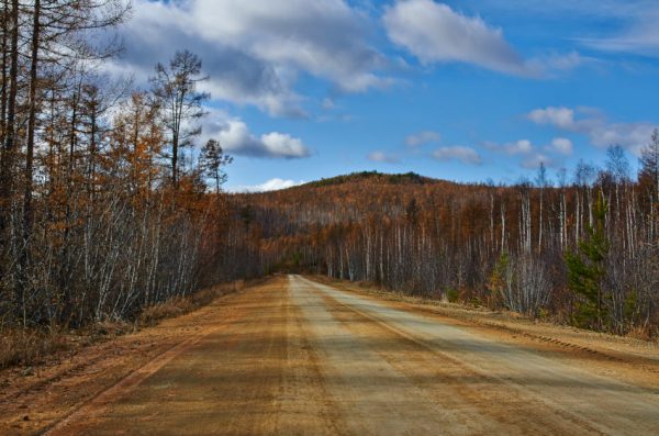 Daxinanling Larch Forest in the northeastern province of Heilongjiang, China.