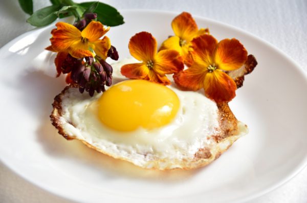 Fried egg on a plate surrounded by flowers.