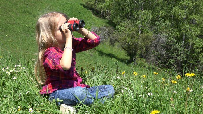 Introduce children to outdoor learning.