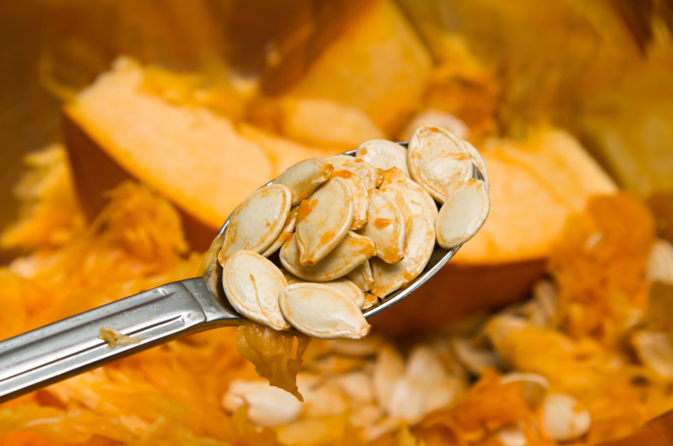 Pumpkin seeds on a spoon after carving a pumpkin.