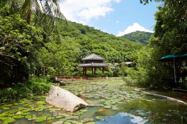 View of Sanya tropical forest paradise park, Hainan, China.