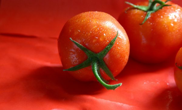 Ripe red tomatoes with drops of water clinging to them sit on a red tablecloth.