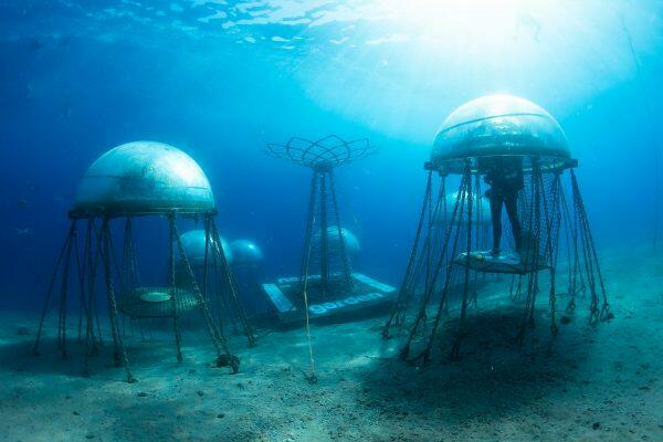 underwater_garden