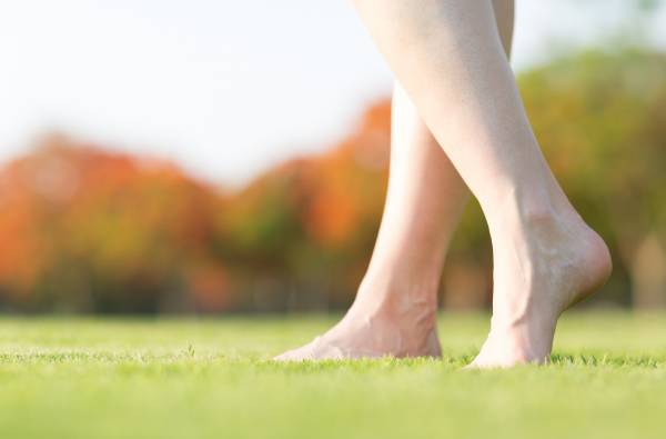 When barefoot walking, negatively charged electrons are absorbed through your foot's sole directly causing your whole body to equalize to the Earth's energy.