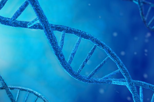 Referring to genetically modified mosquitoes, the company states 'that in the very unlikely scenario that a mutated female bites and their DNA does enter the human bloodstream, there’s no indication that it would cause any adverse effects.'