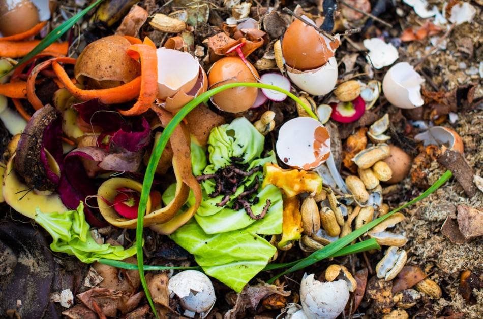 Are You Into Sustainable Living? Then Try All Your