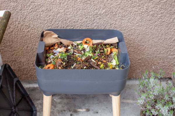 Gray plastic vermicomposting bin with wooden legs and filled with food scraps sits on a patio.