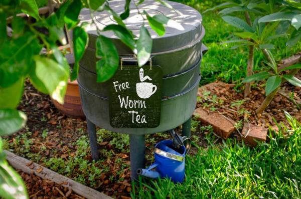 Round green plastic vermicompost bin sitting outside beside some plants.
