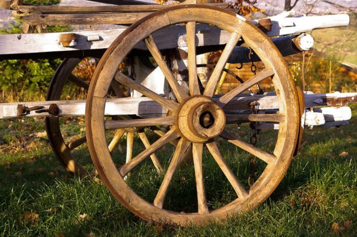 An old horse knows the way is one of the famous Chinese idioms.