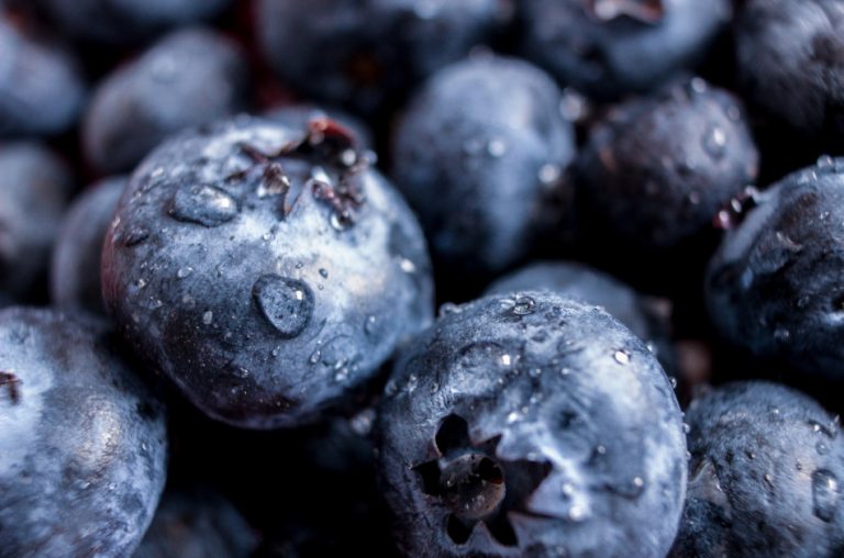 Blueberries with drops of water clinging to them.