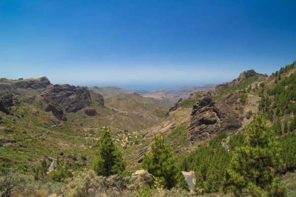 Cultures that speak in whistles have been observed in areas where there is very dense vegetation or greater distances between settlements, such as ravines.