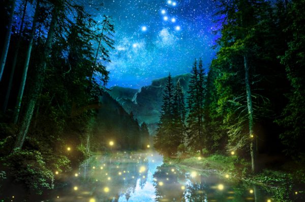 Just like the fireflies in the night, a good marriage is about paying attention to simple little details of day-to-day life to warm your partner's heart.