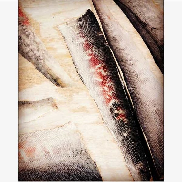 fish_skins
