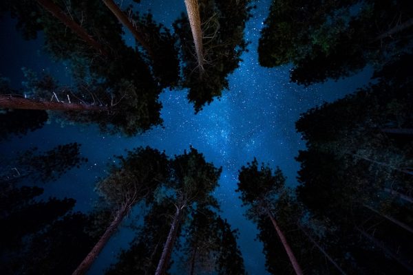 Nature nourishes the soul, inspires us to dream, and grants us a nightly magical wish upon a star.