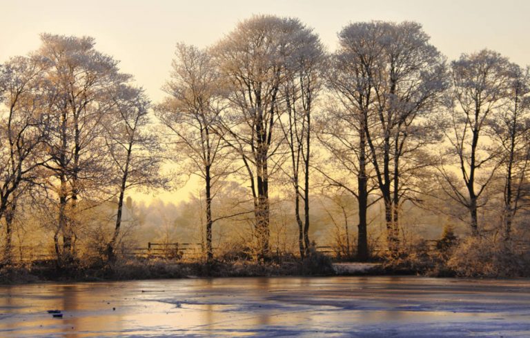 A frozen winter landscape with a golden sunset.