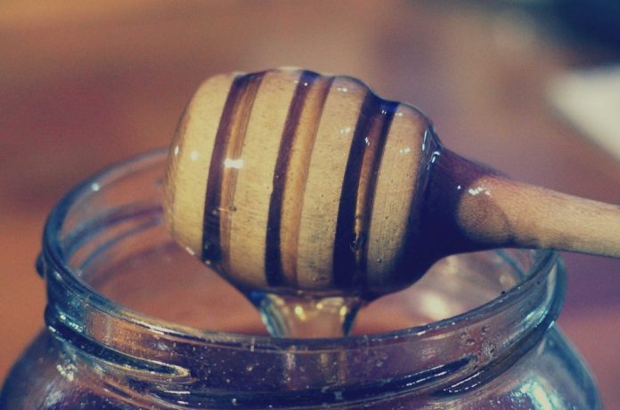 Close up shot of a honey dipper filled with honey.