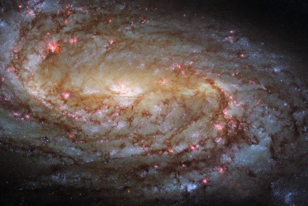 This jewel-bright image taken with the NASA/ESA Hubble Space Telescope features the spiral galaxy NGC 2903.