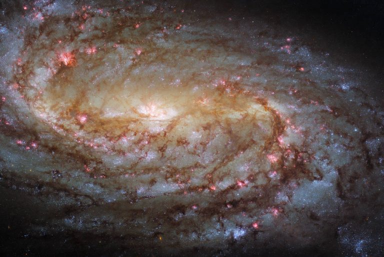 This jewel-bright image taken with the NASA/ESA Hubble Space Telescope features the spiral galaxy NGC 2903.