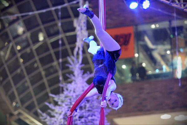 trapeze_artist