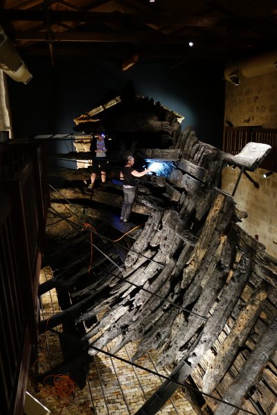 Dutch seafaring domination can be explained in part by the wood used in their ships.