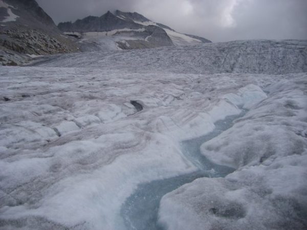 A glacial stream habitat in the area where Lencioni conducts her research on the endangered insects.