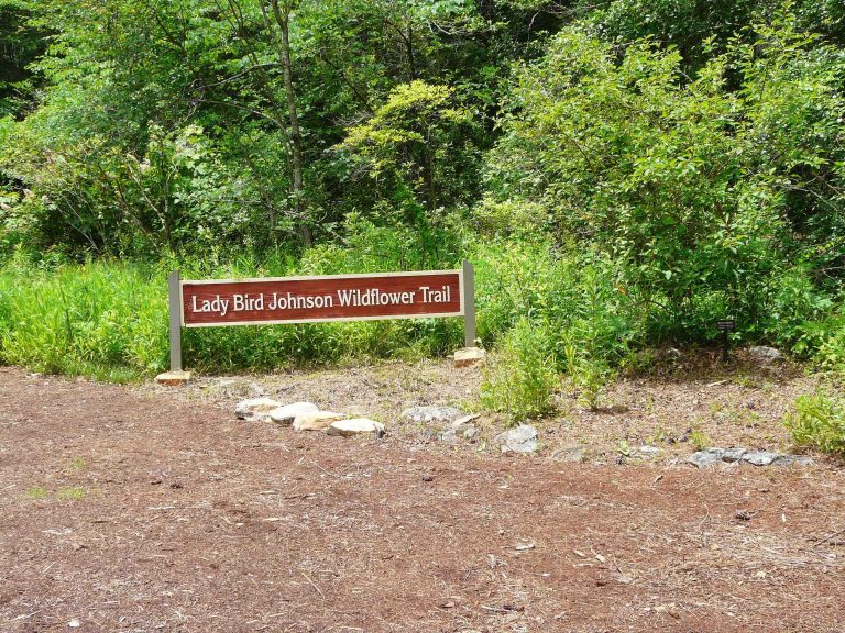 Fortlandia is hosted at the Lady Bird Johnson Wildflower Center.