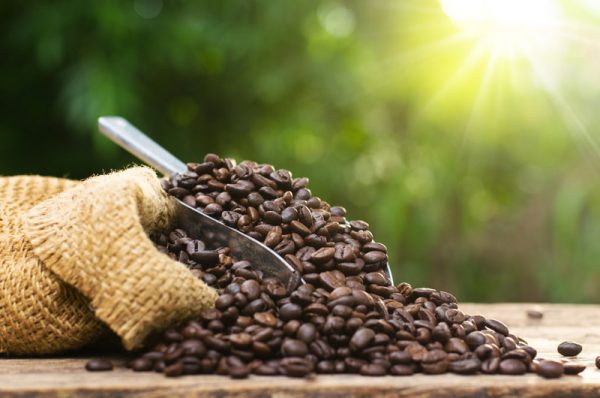 Coffee bean bag and coffee roasted over nature green background and sunlight in morning time.