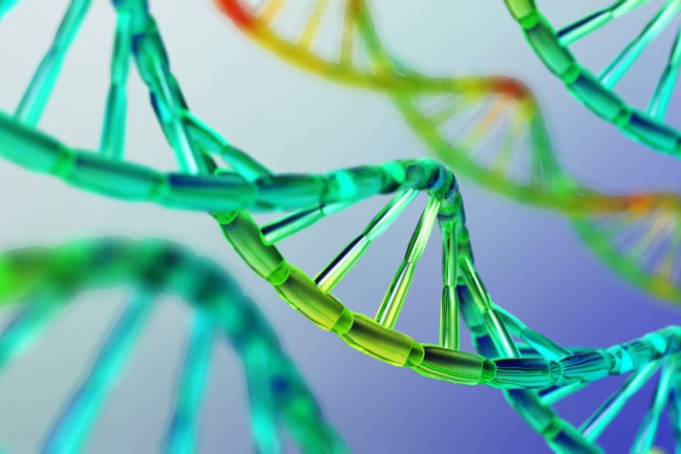 Colorful plastic model showing DNA strands.