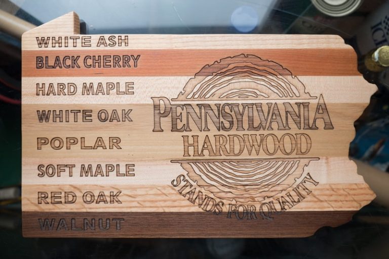 Hardest Wood In The World How Is It Measured Nspirement