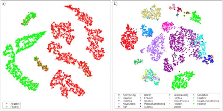 A figure from a scientific study where AI is used to analyze pig calls showing emotional valence using a series of colored circles and triangles gathered together in clusters to represent the data gathered.