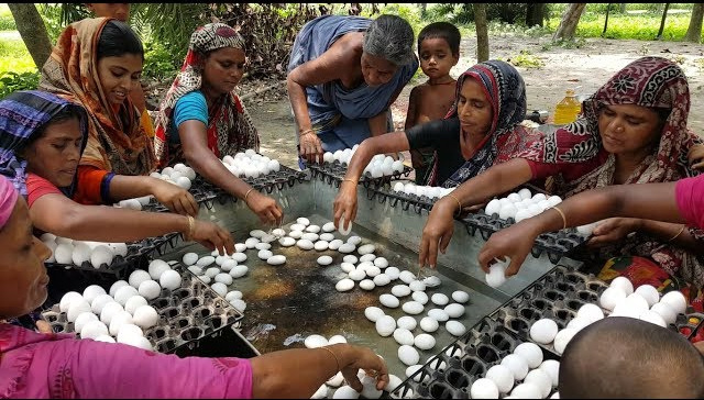 Over 300 eggs are being prepared for the YouTube village.