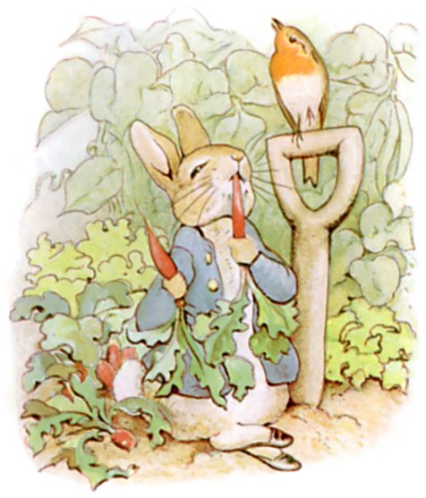 peter-rabbit