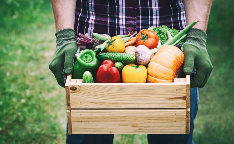 A crate of organic vegetables.