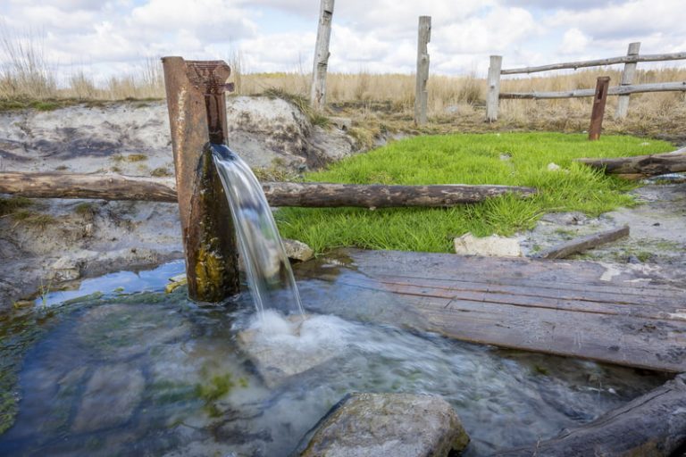 Natural source of spring water in a park.