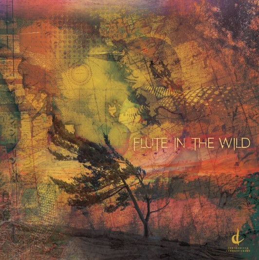 Jaye Marsh’s debut album 'Flute in the Wild.'