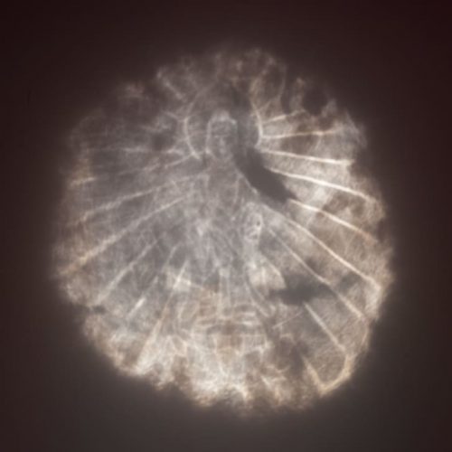 Rare Chinese Magic Mirror Discovered in Museum Projects a Hidden Image