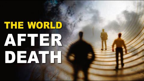 “I Died and Came Back”: 81 Amazing Near-Death Experiences Tell of a ...