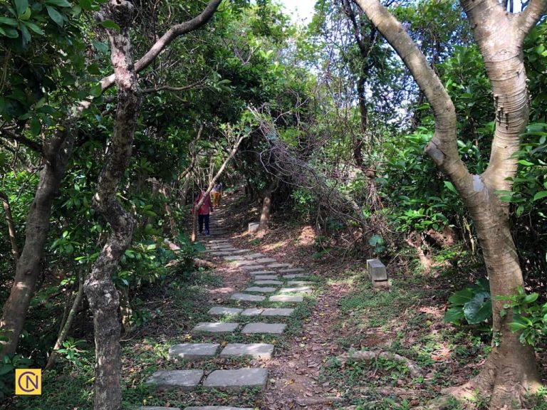 Walking on the shady trail at Longdong Bay is very relaxing.