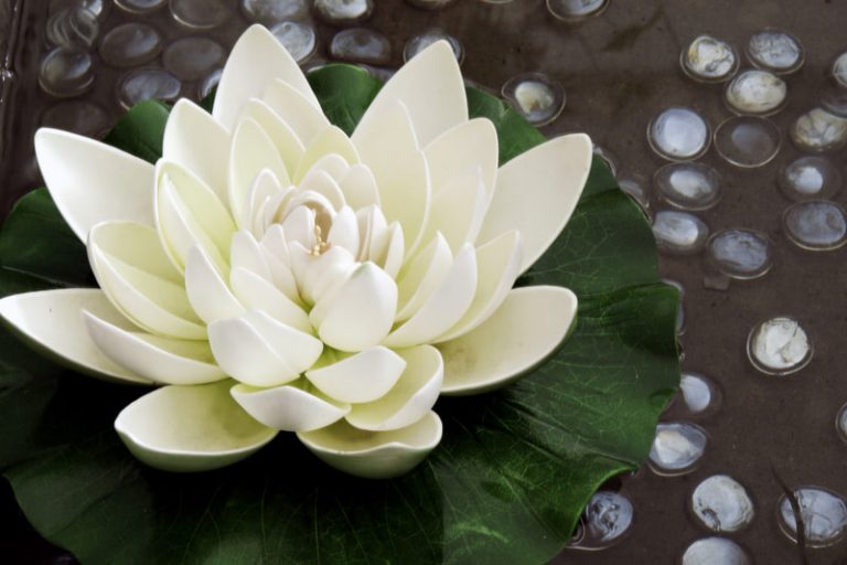 A life-like artificial lotus flower in a pool of water.