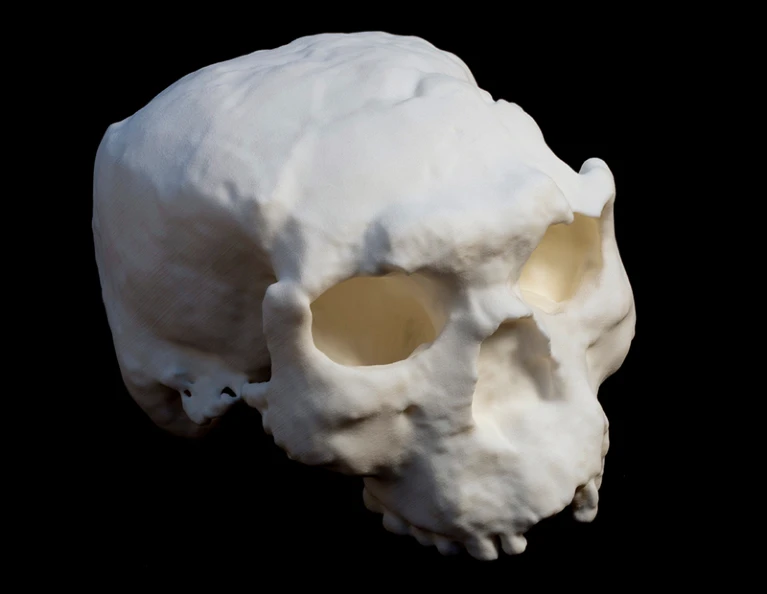 A third ancient human skull of a possible Homo erectus has been uncovered at a site in China. A 3D reconstruction of the second skull, discovered three decades ago and called Yunxian 2, is pictured.