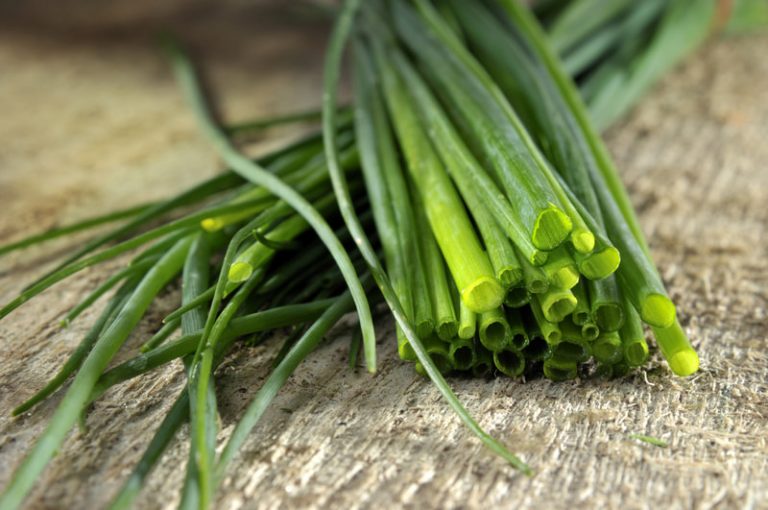 The governor was surprised that the chef asked for a whole five pounds of green onions to make one dish for the meal.