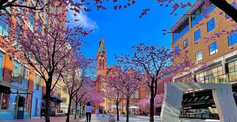 Birmingham’s Oozells Square at Brindleyplace.